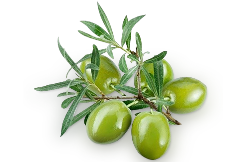 Azeitoneira Pimenta